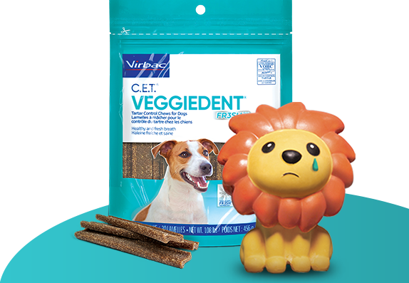 Veggie dents for sales dogs